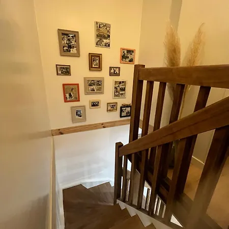 Doudou Saint-Sever (Landes)