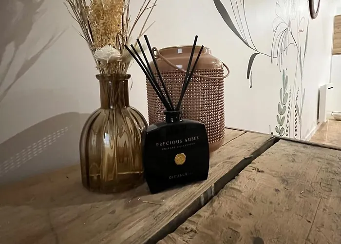 Doudou * Saint-Sever (Landes)